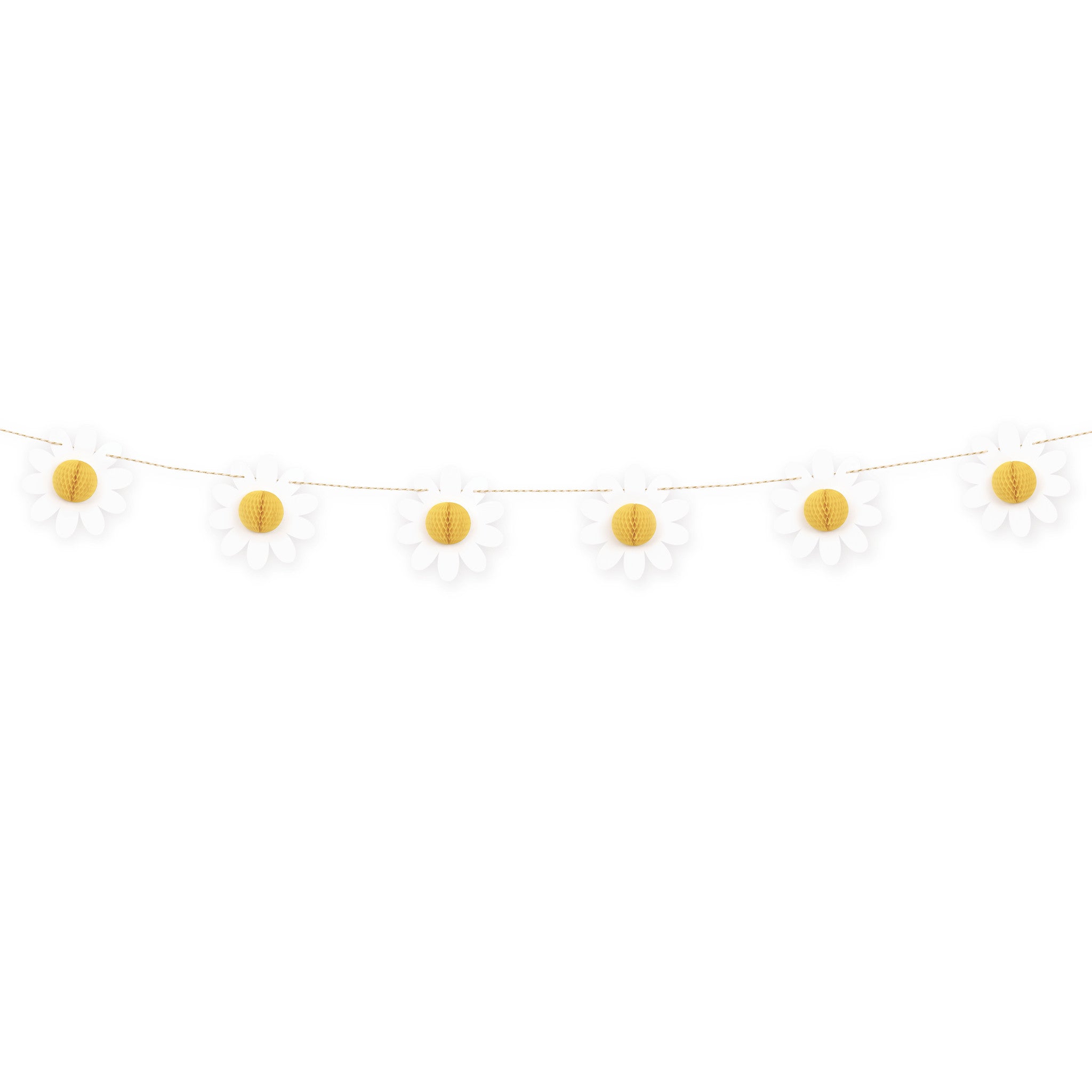 Groovy Birthday Daisy&Honeycomb Garland 6ft